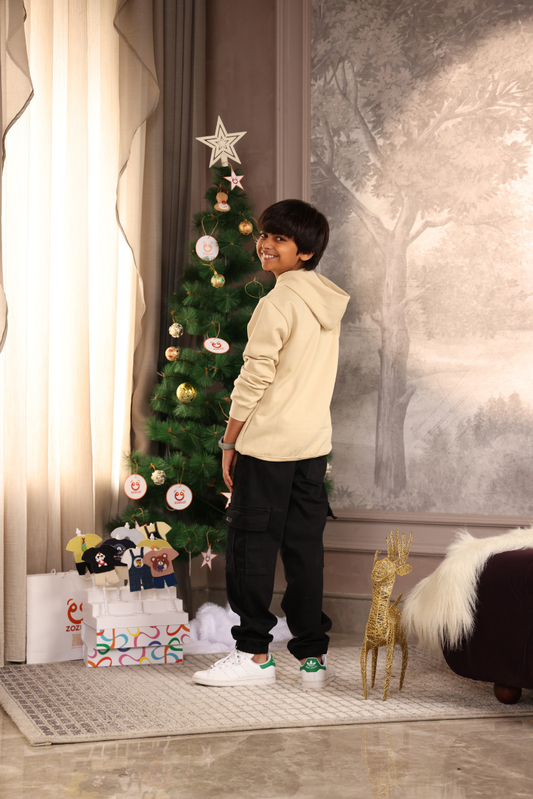 Boys Play N Wear Hoodies (Beige)